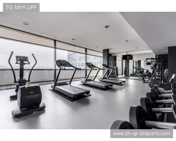 健身房内部健身器材种类与组合搭配建议
